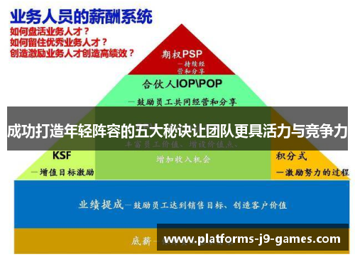 成功打造年轻阵容的五大秘诀让团队更具活力与竞争力